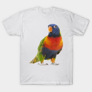 Cute Parrot T-Shirt